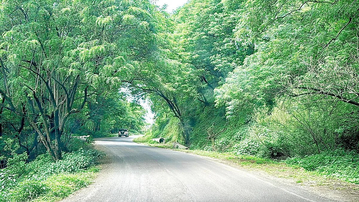 Early morning drive to sajjangad fort