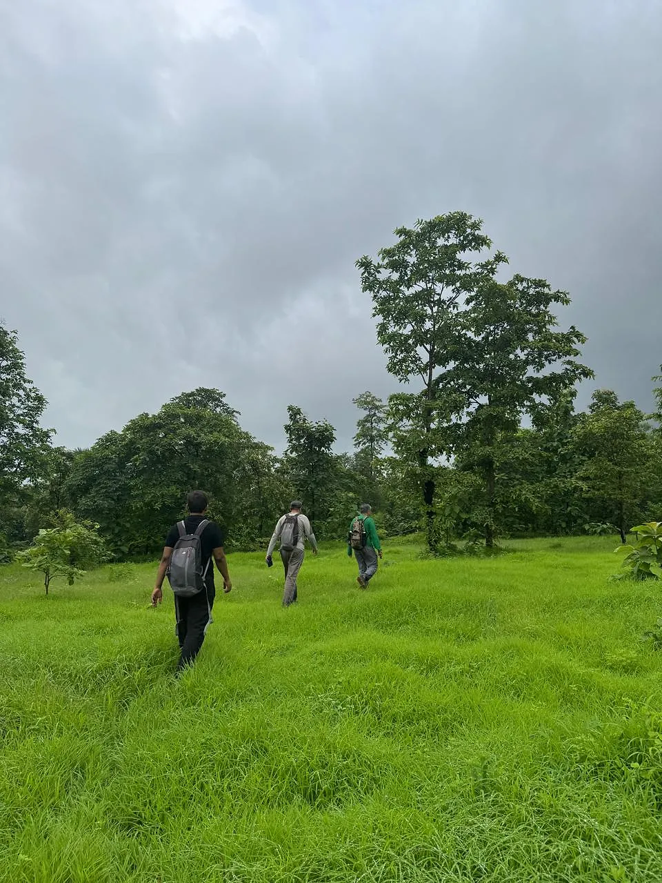 मंदाकिनी हिल ट्रेक