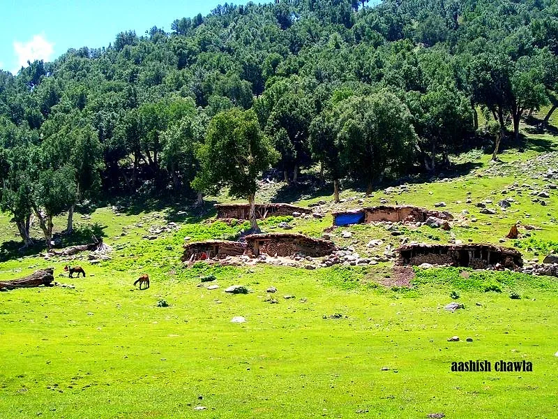 Kashmir Great Lakes Trek | Day 2