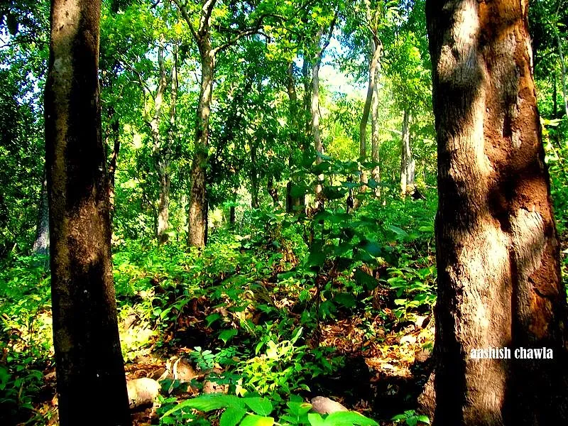 Tak Mak Fort Trek