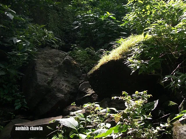 Ahupe Ghat Trek