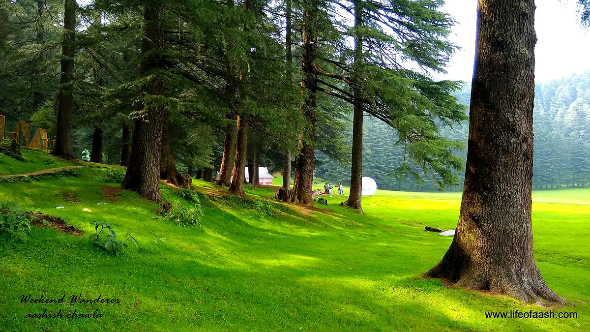 Khajjiar Himachal Pradesh -Day 5