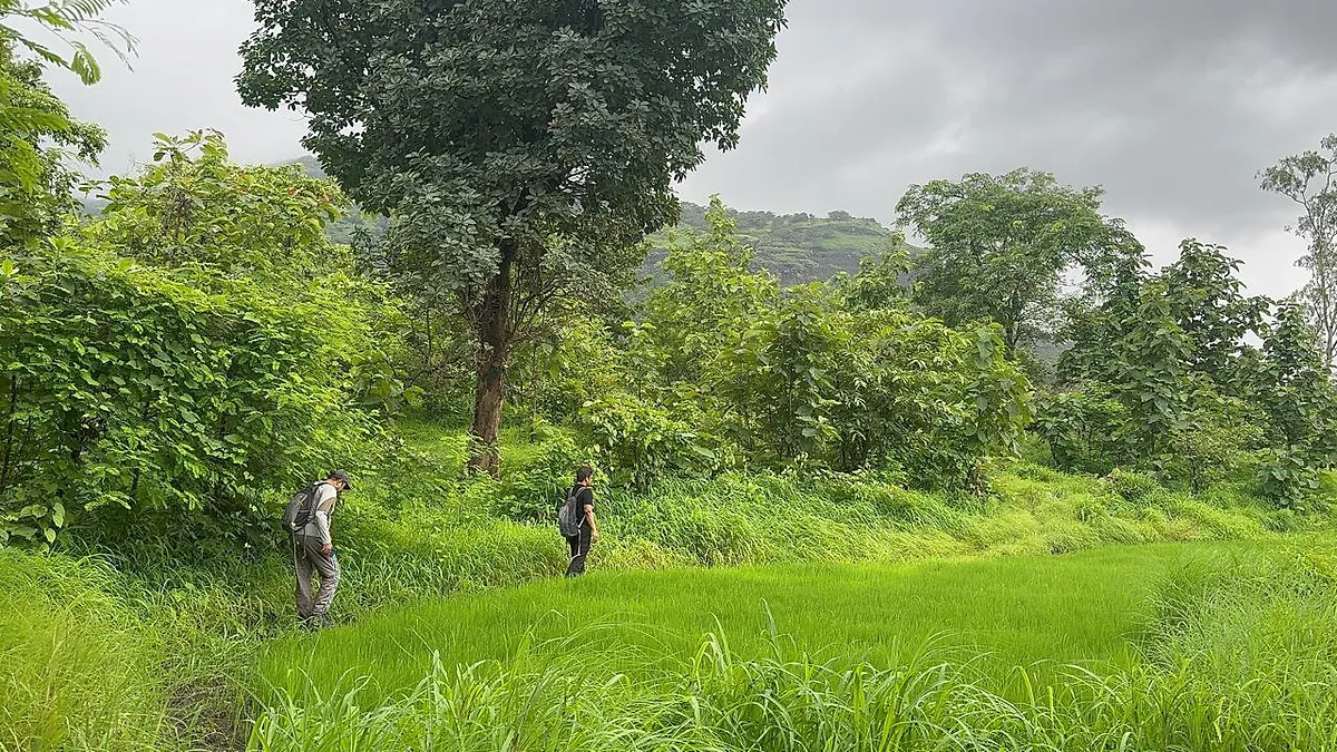 मंदाकिनी हिल ट्रेक