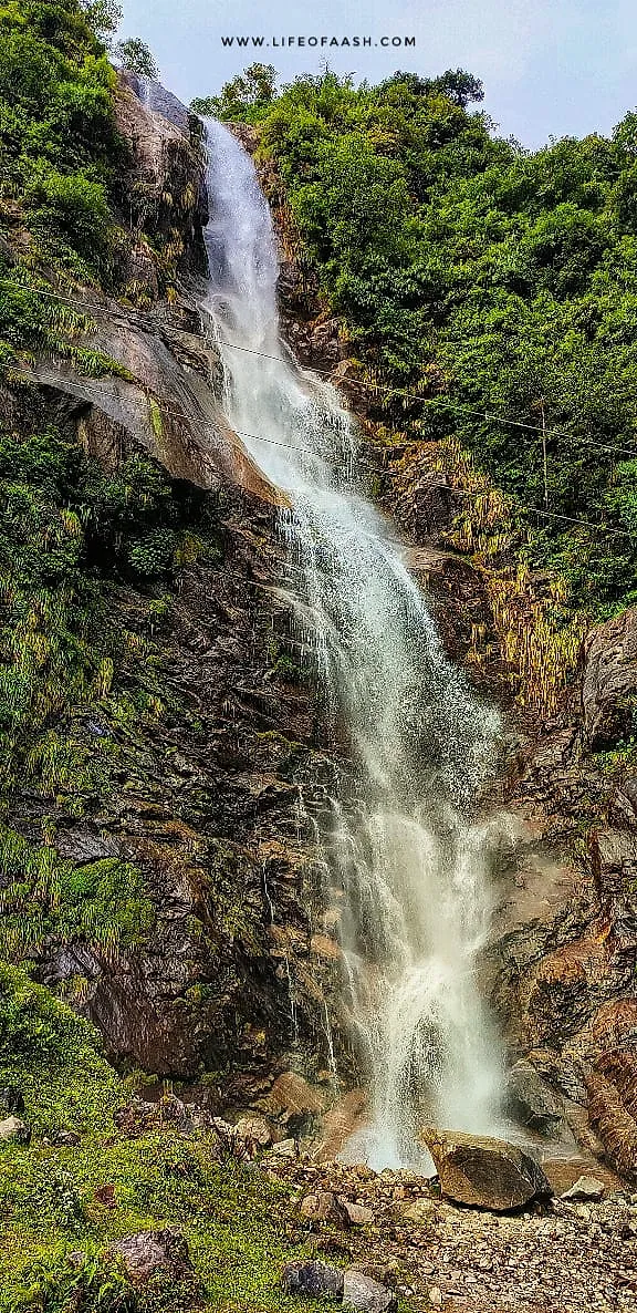 Sikkim Series | Lachung, Yumthang Valley & Lachen | Day 3