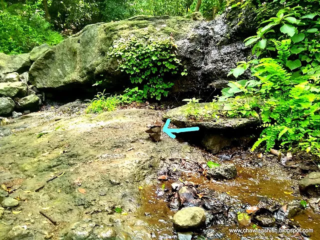 Manikgad Trek