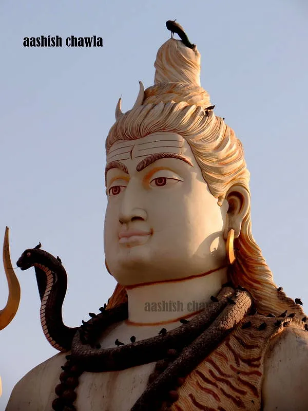 Nageshwar Jyotiling | Gujarat Series