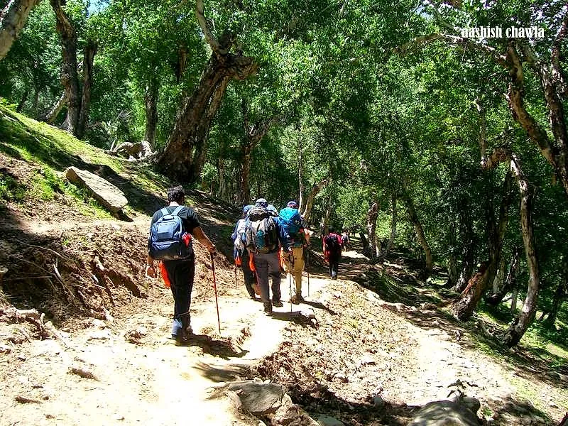 Kashmir Great Lakes Trek | Day 2