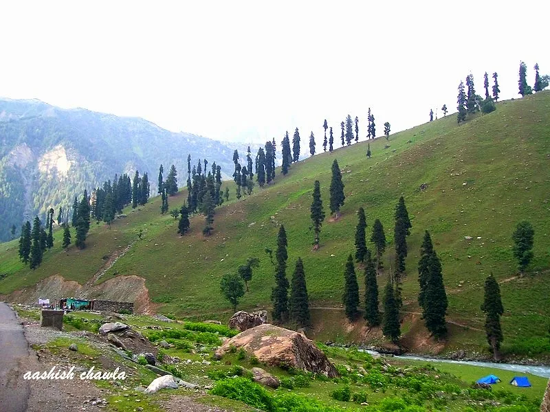 Kashmir Great Lakes Trek | Day 1