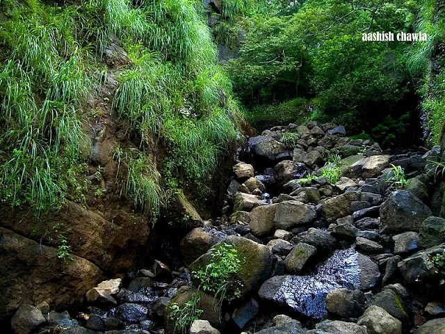Ahupe Ghat Trek