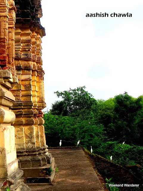 Champaner Series | Iteri Masjid | Part 3