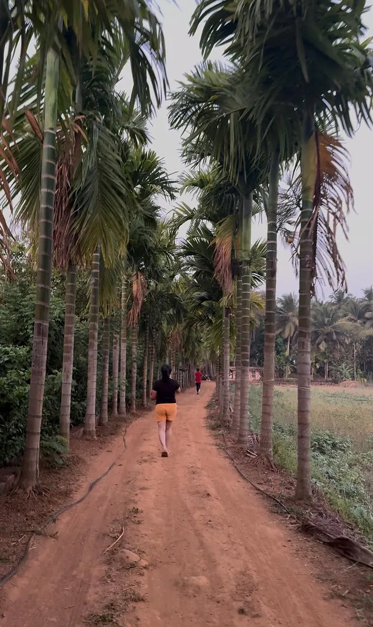 Konkan Road Trip Part 2 – Guhaghar to Dapoli with Beaches, Forts & Family Fun