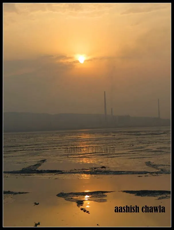 Flamingo Watch at Sewri Mudflats