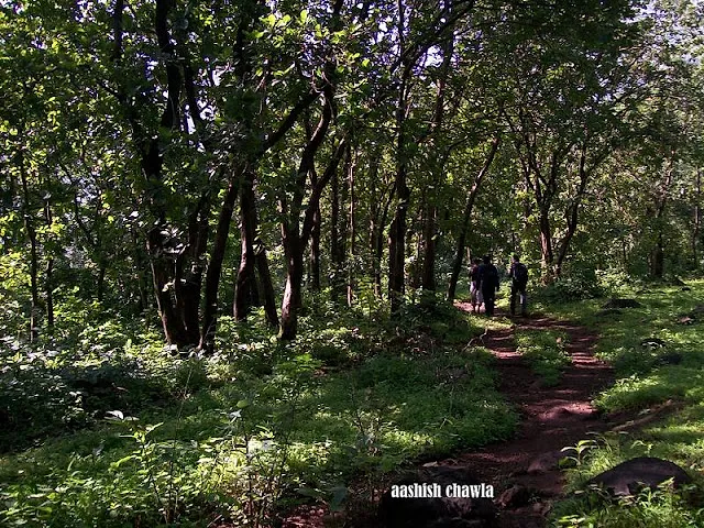 Ahupe Ghat Trek