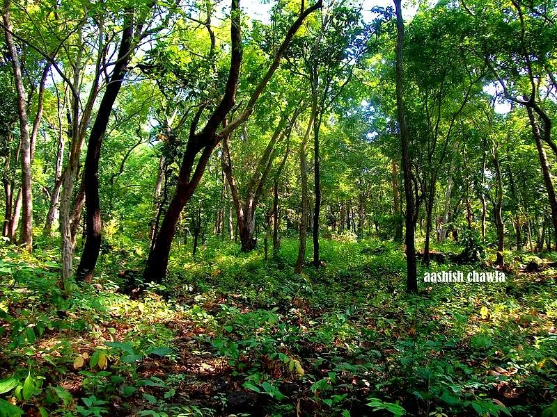 Tak Mak Fort Trek