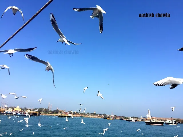 Bet Dwarka | Gujarat Series