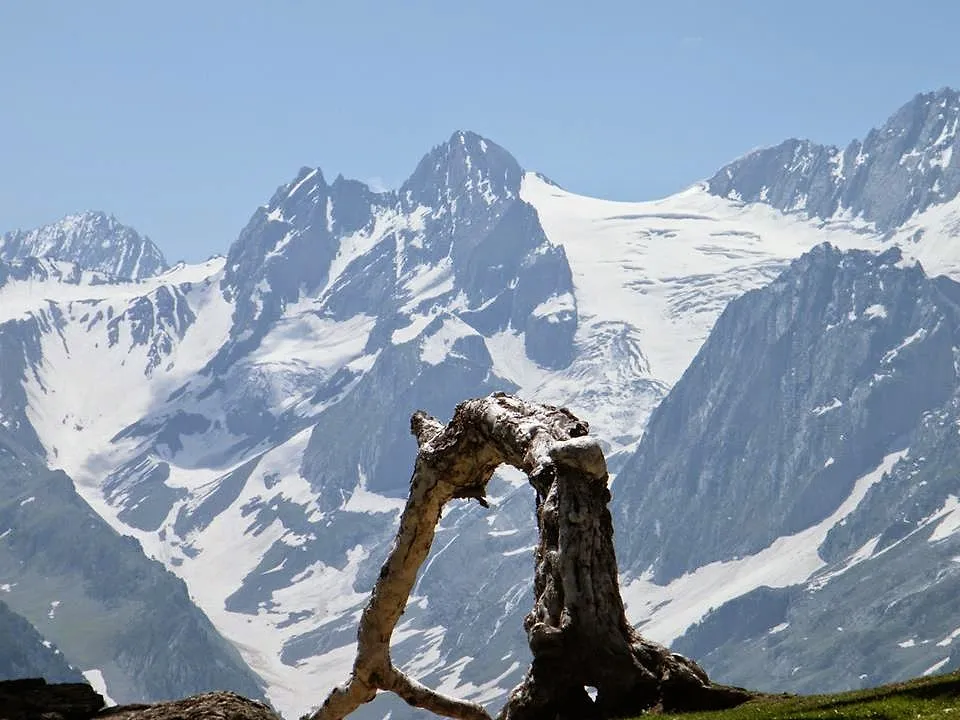 Kashmir Great Lakes Trek | Day 2