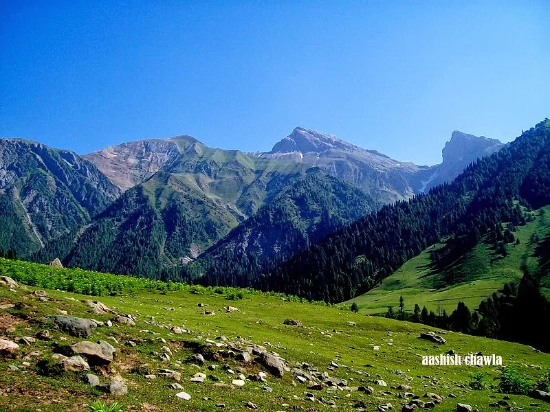 Kashmir Great Lakes Trek | Day 2