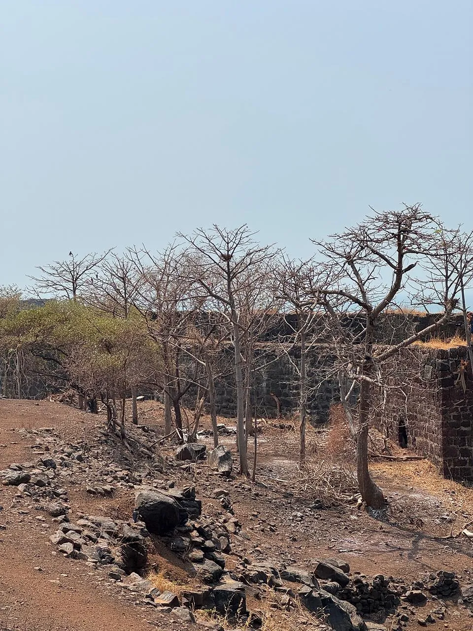 Konkan Road Trip Part 3: Harnai Fish Market & Suvarnadurg Fort – Hidden Gems of Dapoli