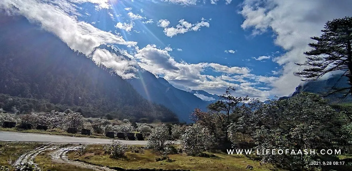 सिक्किम सीरीज । लाचुंग-यूमथांग घाटी-लाचेन । Day 3