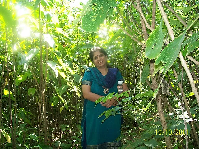 Mahuli Fort Trek