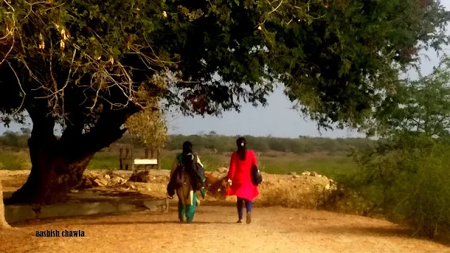 Gopi Talav | Dwarka | Gujarat Series