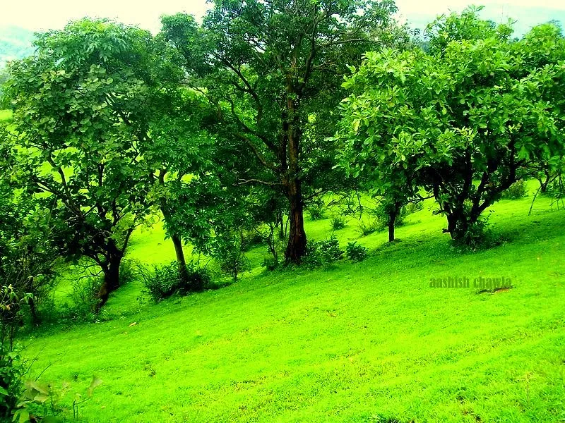 Umberkhind Trek
