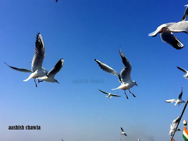 Bet Dwarka | Gujarat Series