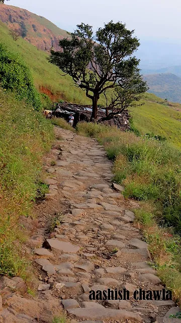 Bhramgiri Trek-Part 1