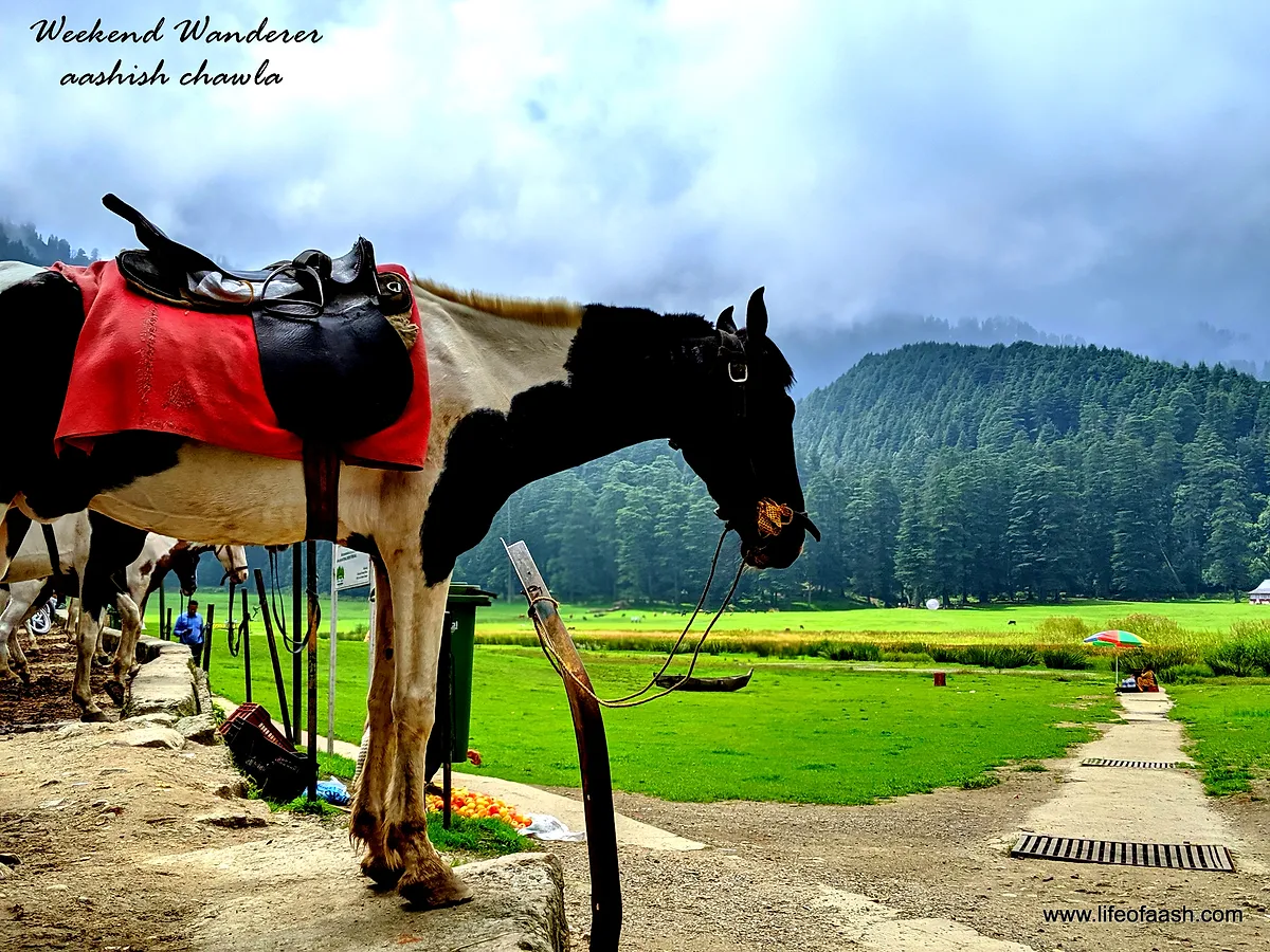 Khajjiar Himachal Pradesh -Day 5