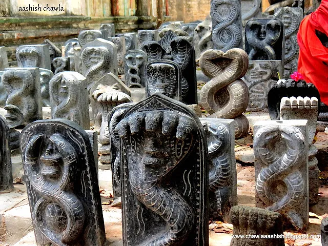 Temple Trails : Rameshwaram from Morning to Afternoon