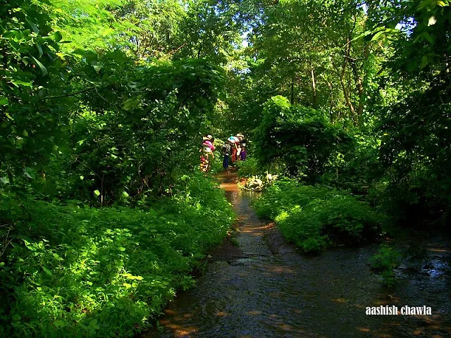 Ahupe Ghat Trek