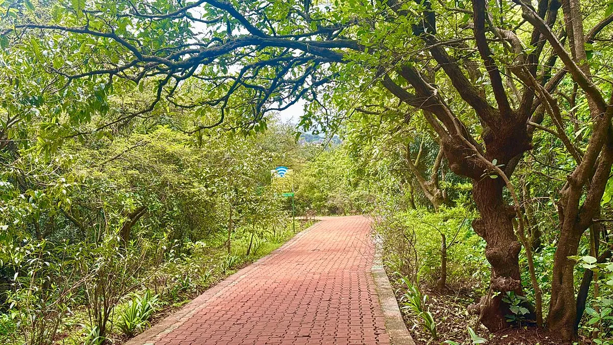 Pathway at thoseghar waterfall