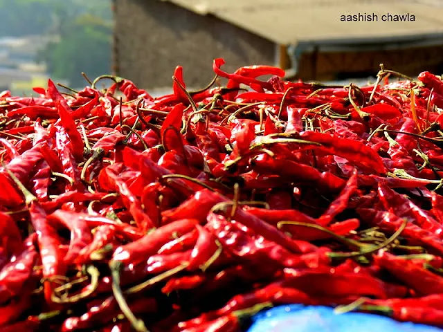 Chal Rang De | Palette of colours
