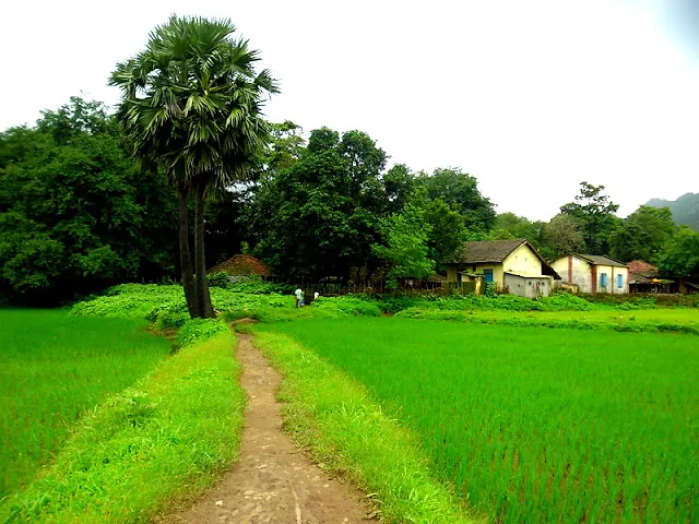 Asherigad Trek — An Independence Day Trek (2012)