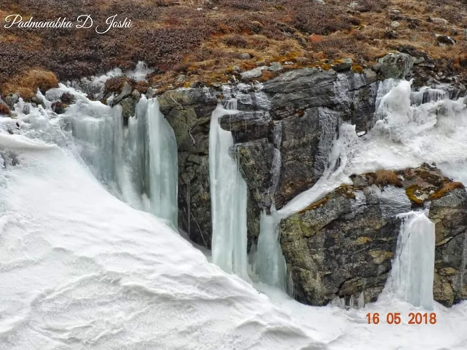 Sikkim Series | Lachung, Yumthang Valley & Lachen | Day 3