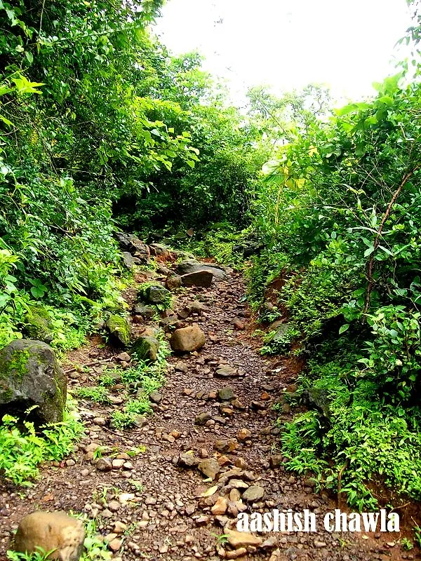 Bhaskargad Aka Basgad