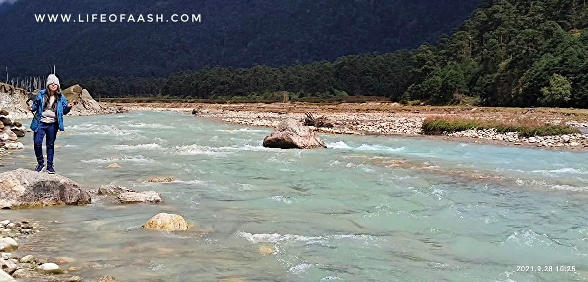 Sikkim Series | Lachung, Yumthang Valley & Lachen | Day 3